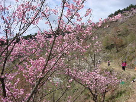 桜華園から大嶽山へ登る