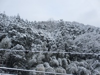 2015大雪のお正月