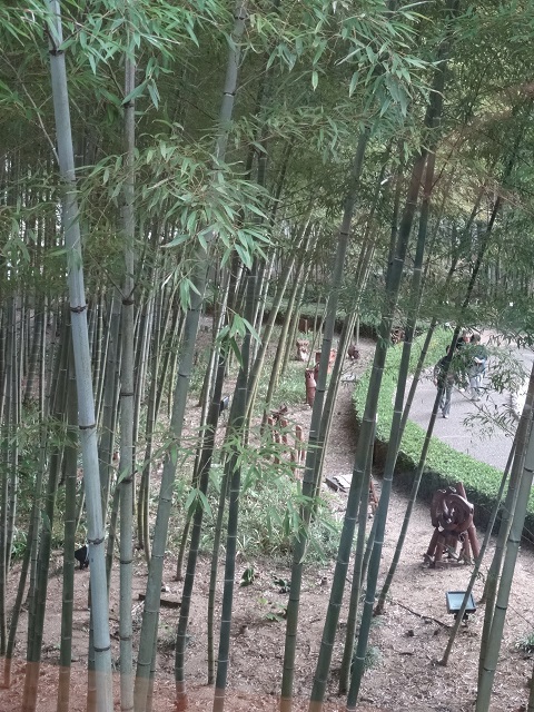 写　遊　姫路　姫路市書写の里　美術工芸館　２