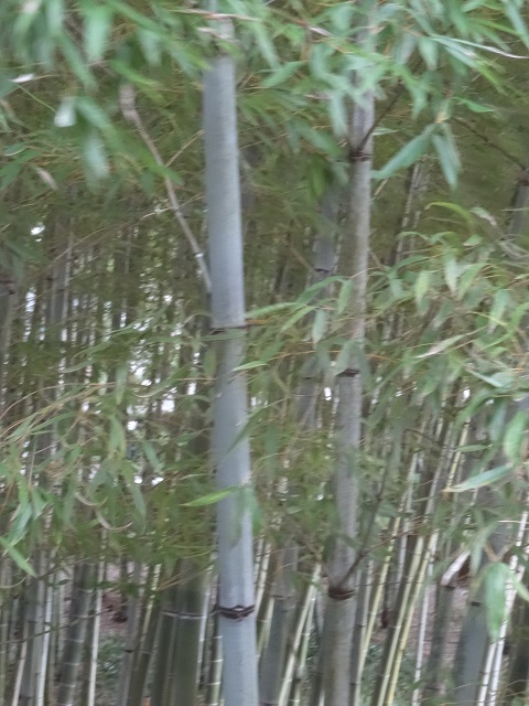 写　遊　姫路　姫路市書写の里　美術工芸館　２