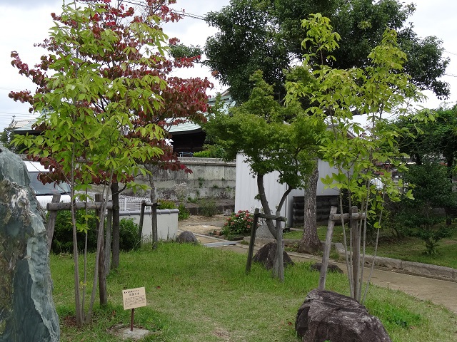 写　遊　姫路　播磨　御着城址　３