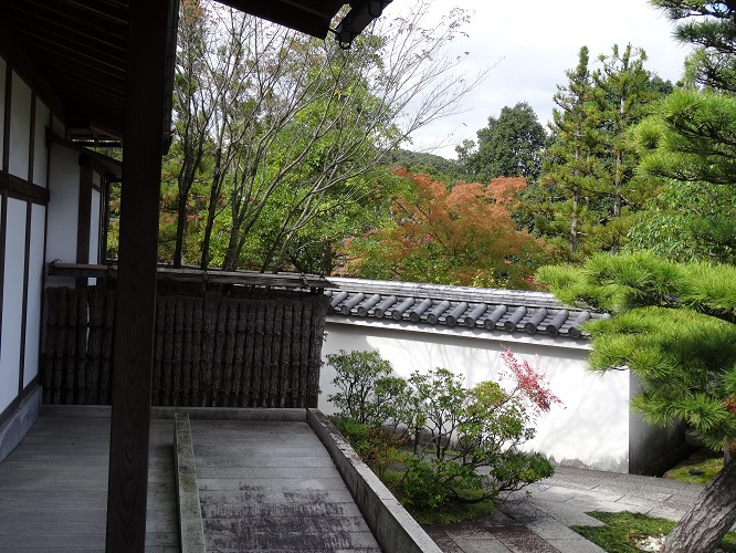 写　遊　姫路　好古園　７－１