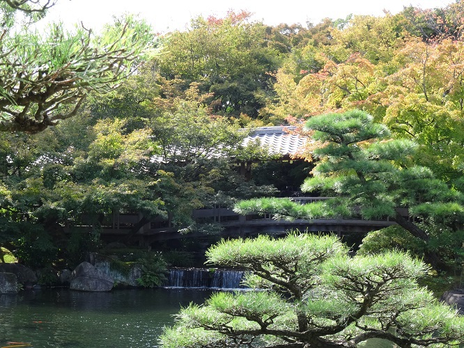 写　遊　姫路　好古園　１０－１