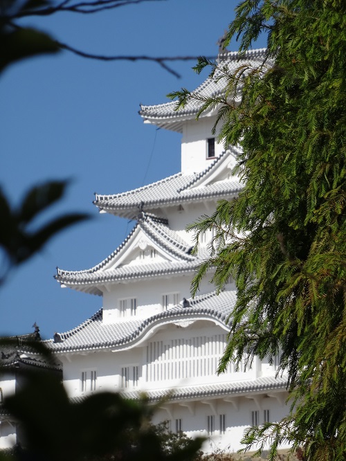 写　遊　姫路　姫路城　３９