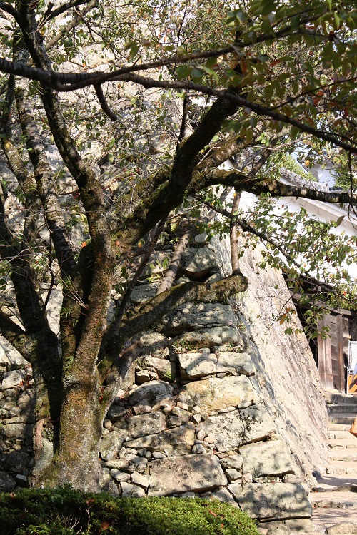 写　遊　姫路　姫路城　城内