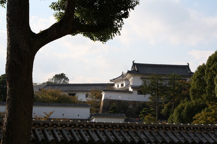 写　遊　姫路　姫路城　城内