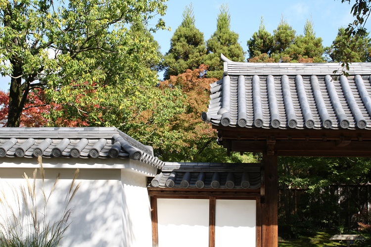 写　遊　姫路　好古園　１