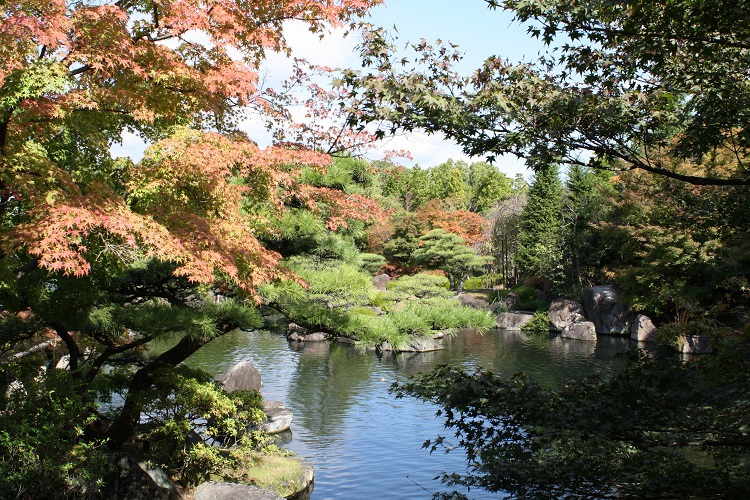 写　遊　姫路　好古園　５