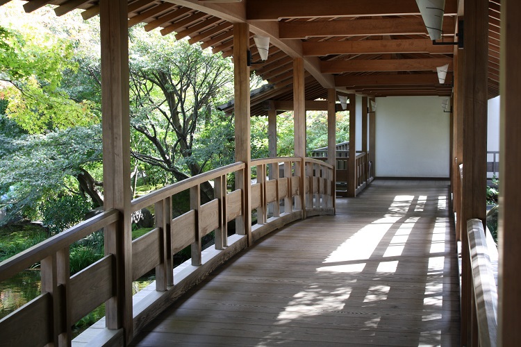 写　遊　姫路　好古園　６