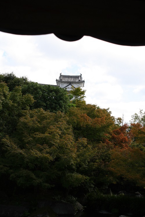 写　遊　姫路　好古園　７