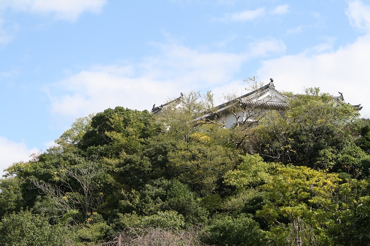 写　遊　姫路　好古園　７