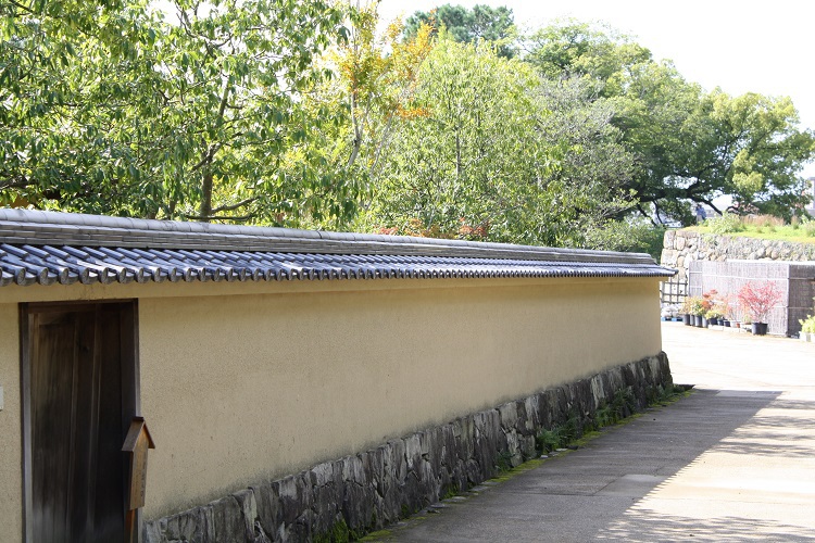 写　遊　姫路　好古園　１２