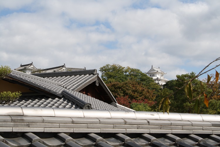 写　遊　姫路　好古園　１５
