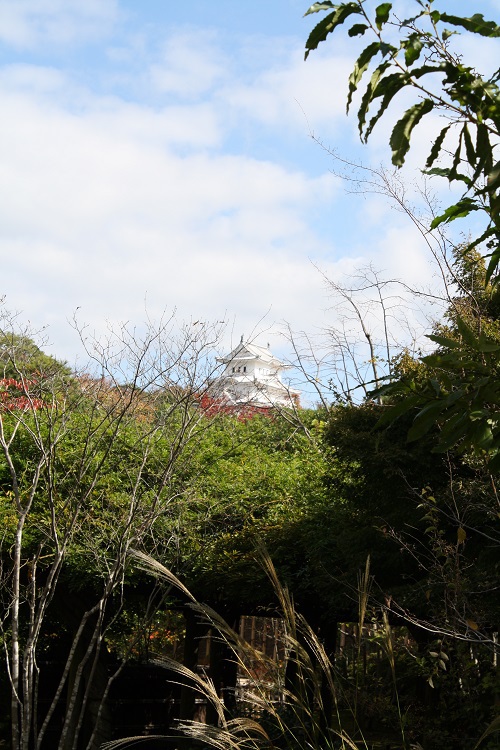 写　遊　姫路　好古園　１５