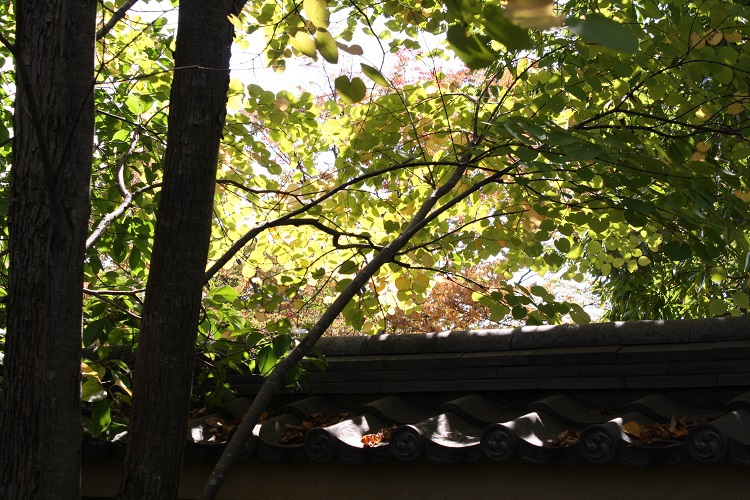 写　遊　姫路　好古園　１６