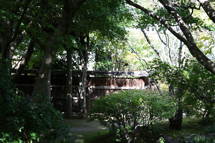 写　遊　姫路　好古園　１７