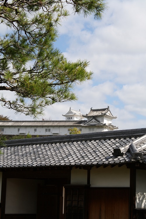 写　遊　姫路　好古園　１７