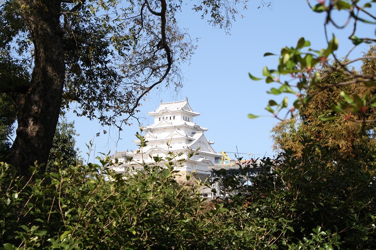 写　遊　姫路　姫路城　３１