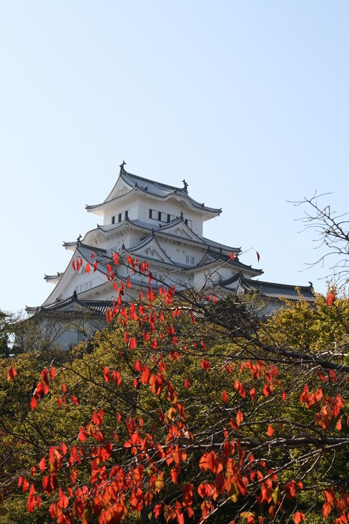 写　遊　姫路　姫路城　５２