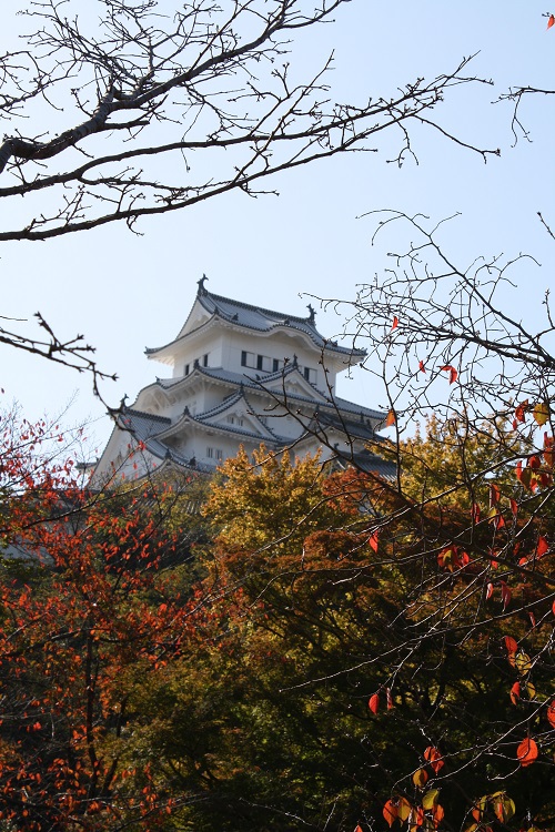 写　遊　姫路　姫路城　５３