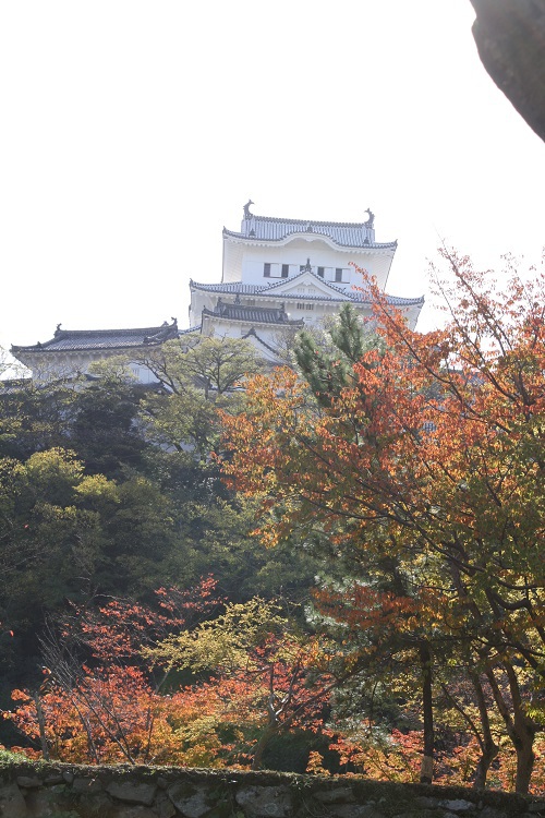 写　遊　姫路　姫路城　５６