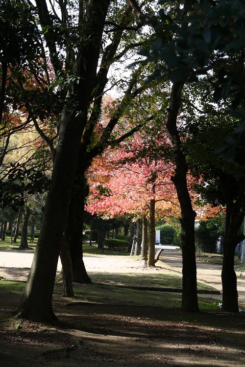 写　遊　姫路　日本城郭研究センター　７