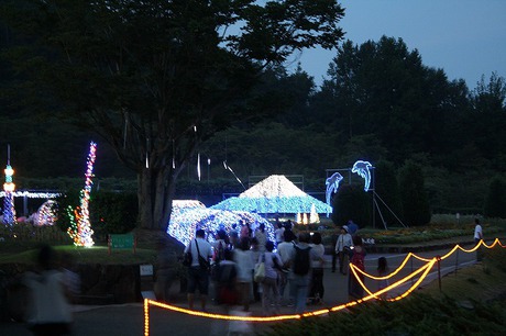 兵庫県立フラワーセンターイルミネーション