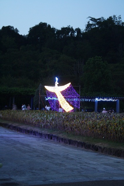 兵庫県立フラワーセンターイルミネーション