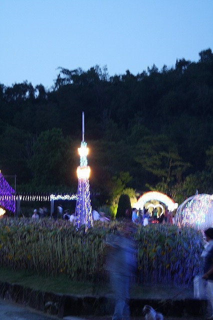 兵庫県立フラワーセンターイルミネーション