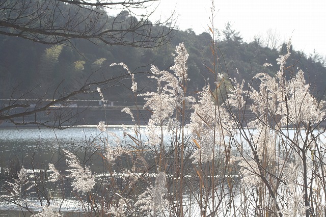 市ノ池公園